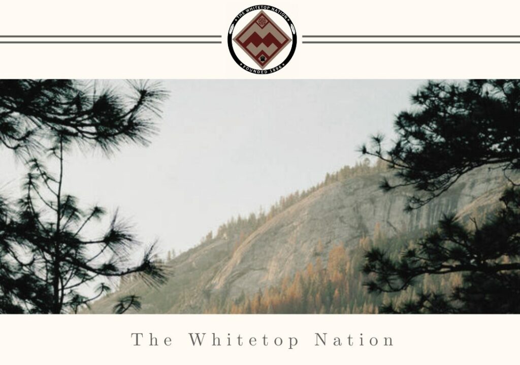 enrollment-the-whitetop-nation